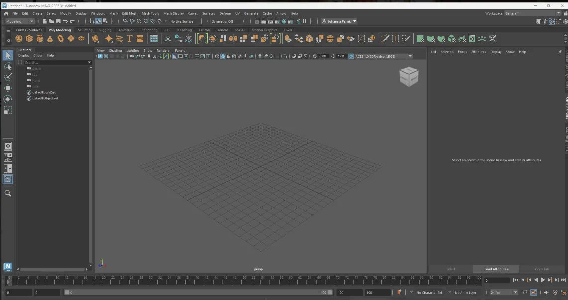 Maya environment